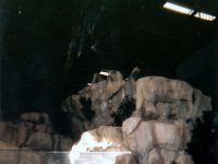 photos 2000-200901476